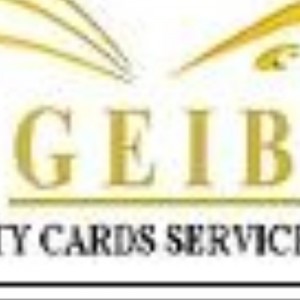 GEIB LOYALTY CARD SERVICES LLC