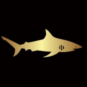 Dive Deep Real Estate