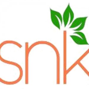 snk global trading llc