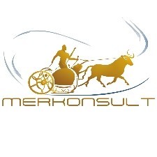 Merkonsult