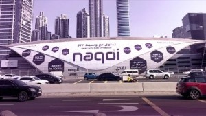 Naqdi securities and currencies LLC