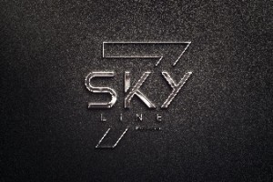 SKY LINE SEVEN REAL ESTATE LLC