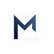 Mini Max Professional Management