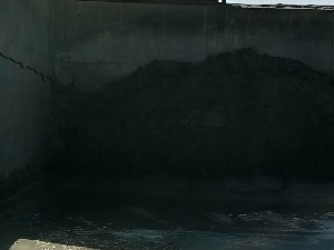 KINGDOM BLOCK COMPANY