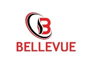 Bellevue Telecom