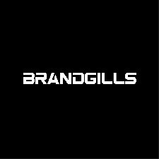 BRANDGILLS VENTURES FZE