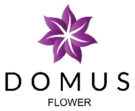 Domus Flower